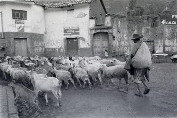 www.eaphoto.com