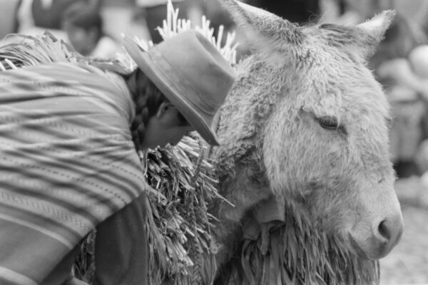 www.eaphoto.com