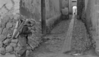 www.eaphoto.com
